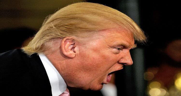 It Needs To Be CED: The Key to Beating Donald Trump