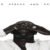 A$AP Ferg – World Is Mine ft. Big Sean