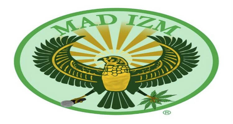 WHAT IS MADIZM?? HAKIM GREEN FEATURING GENERAL STEELE AND KRS ONE