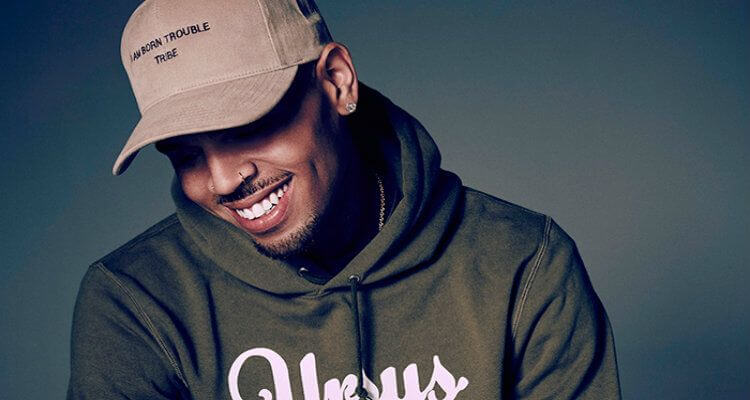 Chris Brown 'What Would You Do'