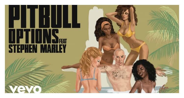 Pitbull - Options ft. Stephen Marley