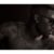 Ray J ‘Think Of Me’
