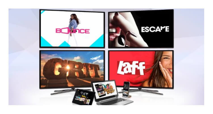 Bounce, Grit, Escape and Laff Had Best Years Ever in 2017