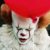 IT CHAPTER TWO – Official Teaser Trailer