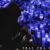 Trae Tha Truth – Nipsey