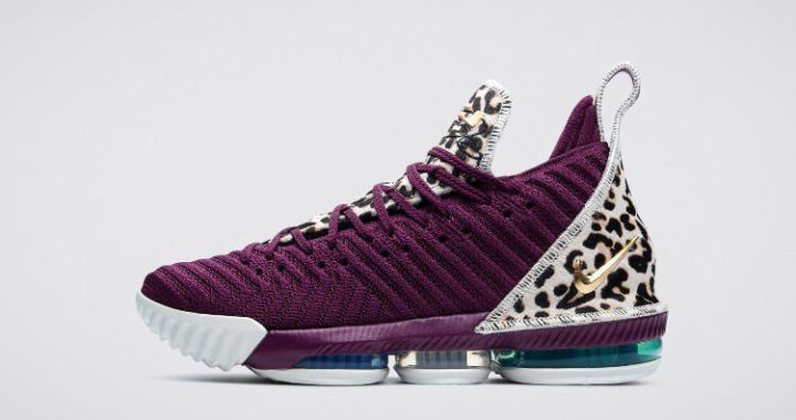The Nike LEBRON XVI PE