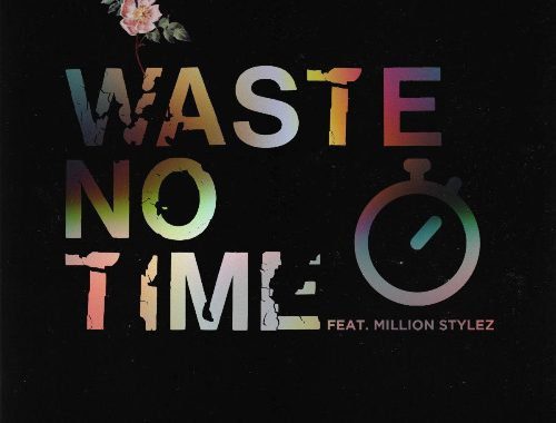 Waste No Time - Inna Vision (feat. Millon Stylez)
