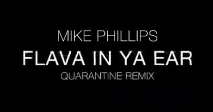 Mike Phillips- Flava In Ya Ear (Remix)