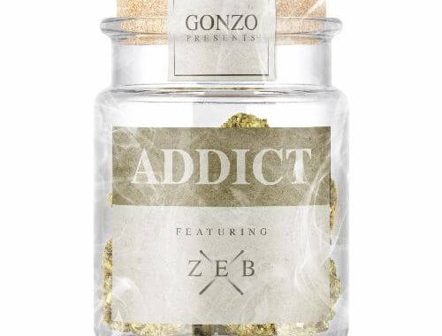 Gonzo feat. Zeb 'Addict'