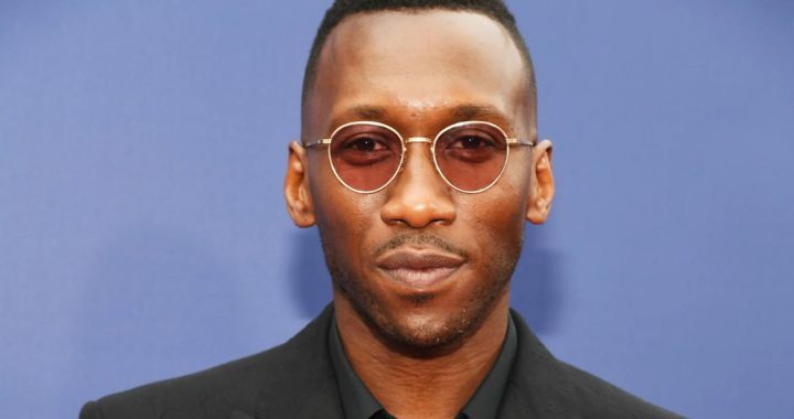 Mahershala Ali is 'Humbled and So Encouraged By' Wesley Snipes Saying he 'Will Do Great' as Blade