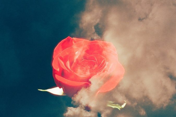 ASXA - Paradise