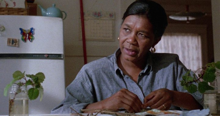 Mary Alice Who Starred in Fences, A Different World, and The Matrix Revolutions Passes Away
