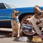 Snoop Launches Pet Accessory Line Snoop Doggie Doggs