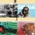 MTA to Distribute 80,000 Metro Cards Featuring Cam’Ron, LL COOL J, Rakim, & Pop Smoke