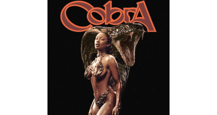 Megan Thee Stallion - Cobra