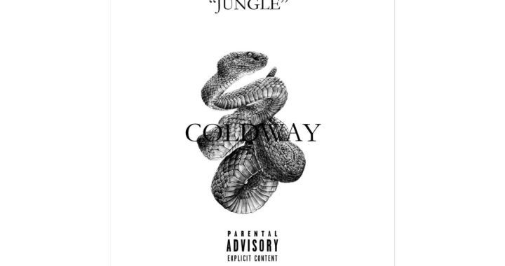 Coldway - Jungle