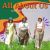 Shannon Mitchell Discusses All About Us Festival: A Juneteenth Celebration