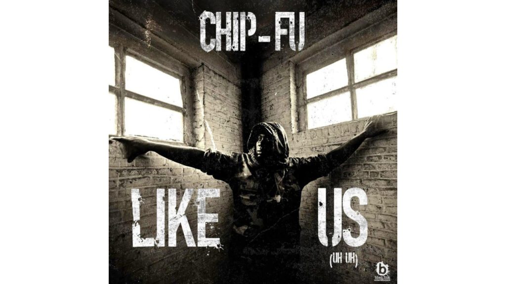 CHIP-FU: LIKE US