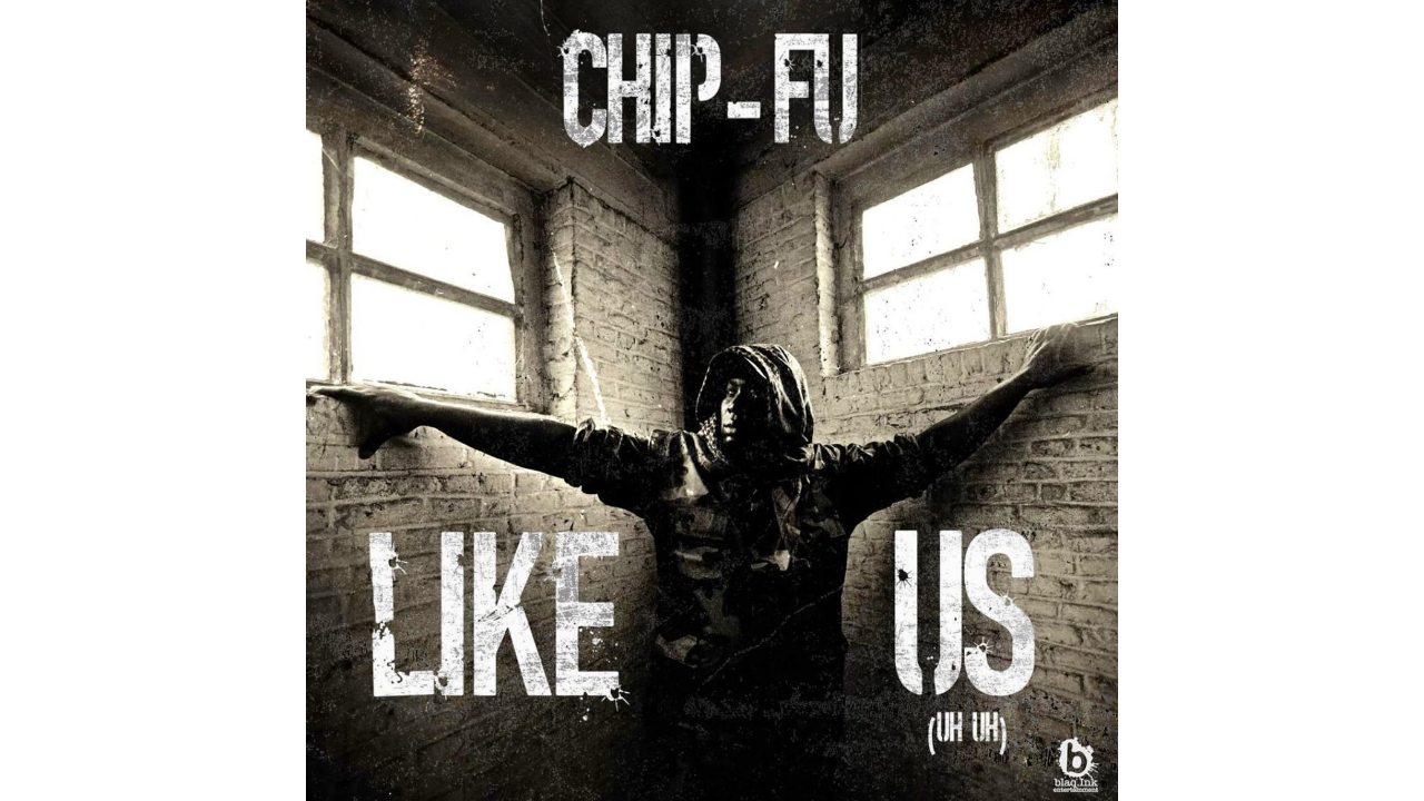CHIP-FU: LIKE US