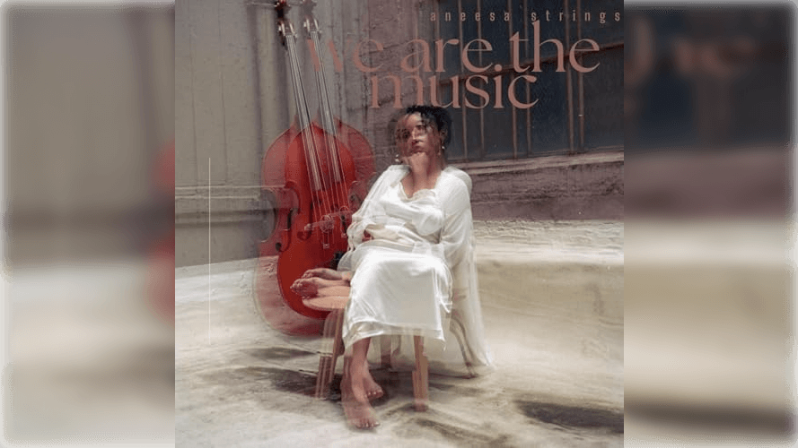 Aneesa Strings 'We Are The Music'