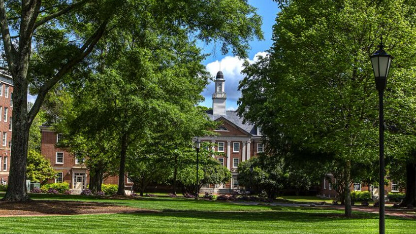 Stephen Curry Takes On Role Of Assistant General Manager At Davidson College